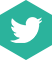 Logo Twitter